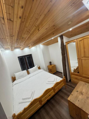Guest house Elenite